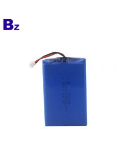 China Lithium Battery Supplier Wholesale Battery for Beauty Apparatus BZ 185085 10000mAh 3.7V Rechargeable Li-Polymer Battery