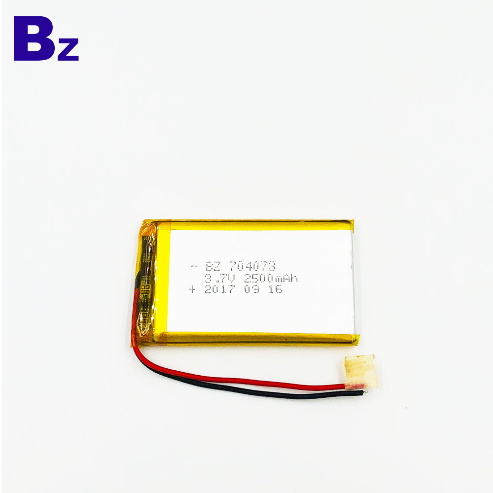 Rechargeable Battery for Beauty and Healthy Life Device