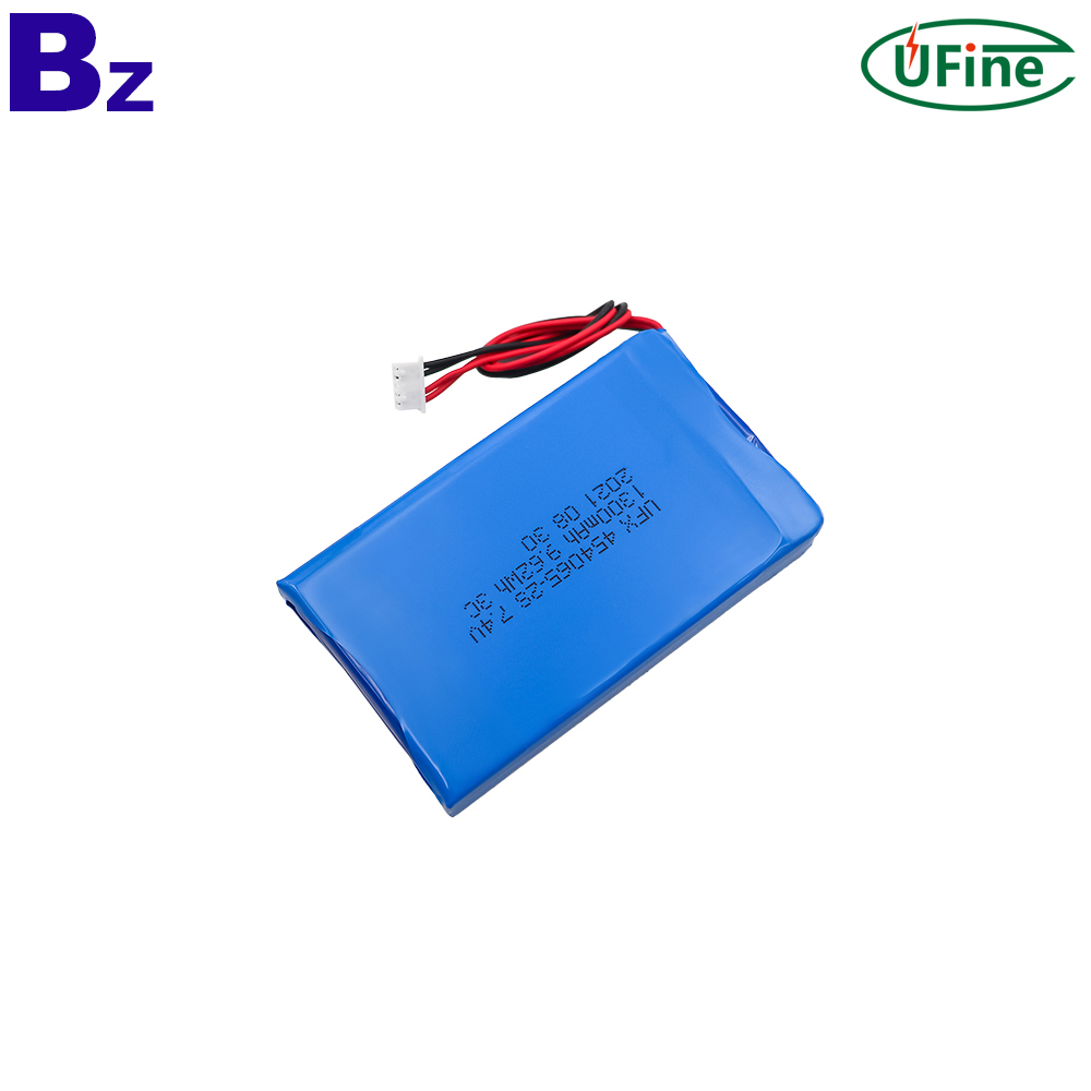 Professional Customized Li-ion Polymer Battery Pack