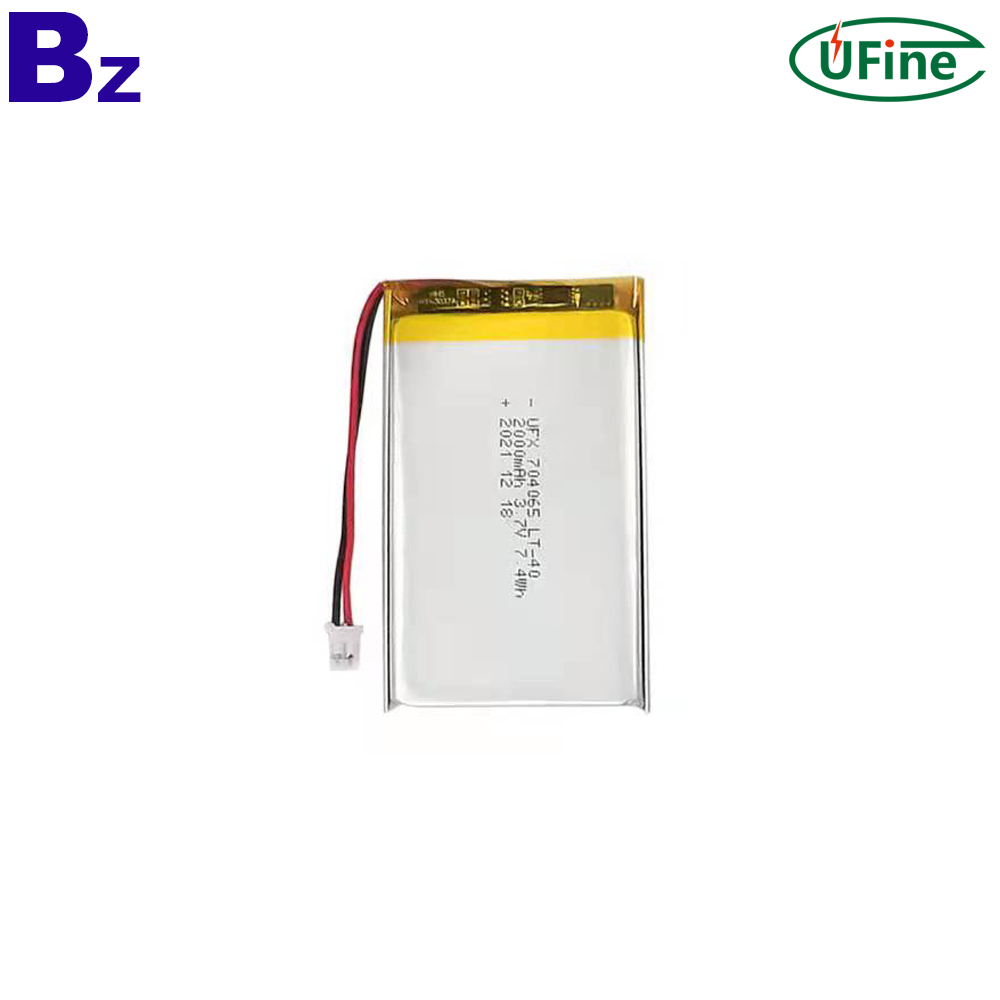 China Lithium-ion Cell Manufacturer Professional Customized -40 Low Temperature Battery