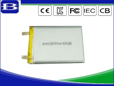 lithium ion batteries