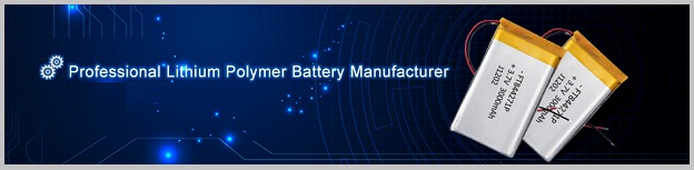 Lithium Polymer Battery