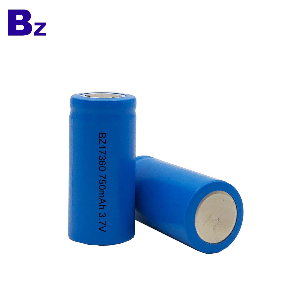 Customized Hot Selling Li-ion Battery 750mAh