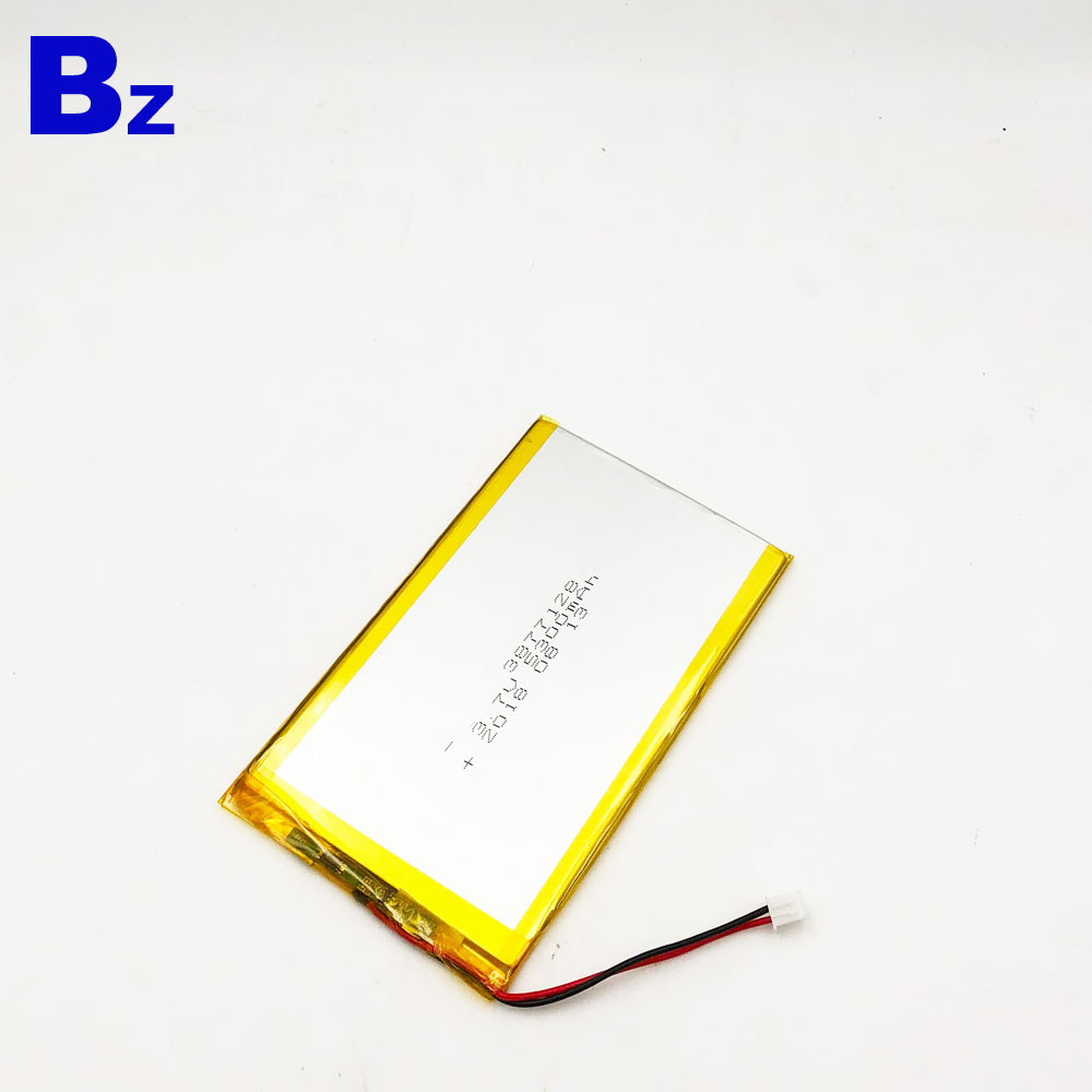 Hot selling Big Capacity Li-ion Battery 5300mAh