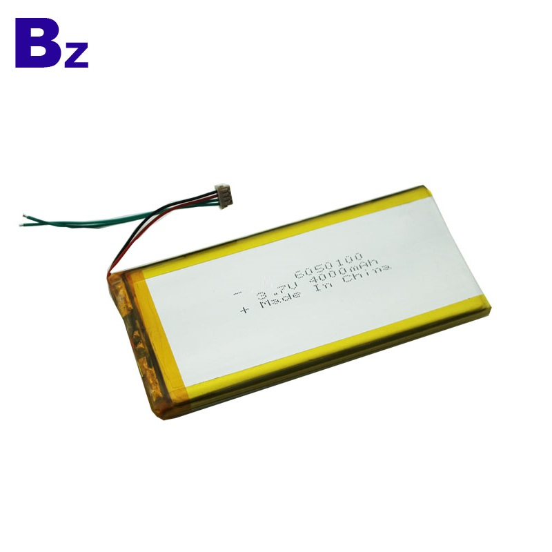 Best Lithium Polymer Cells Factory OEM 4000mAh Battery