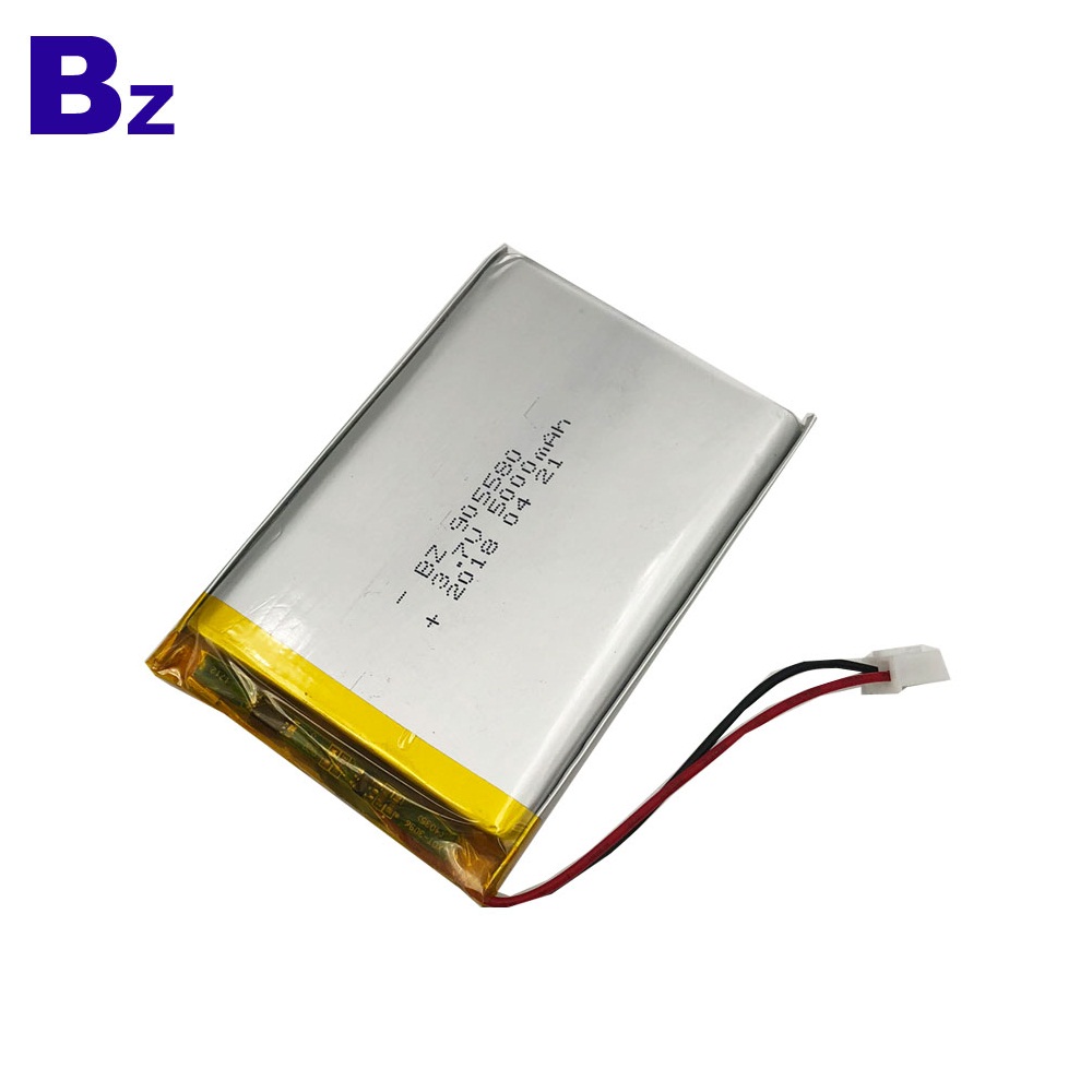 Best Lithium Cells Manufacturer OEM 5000mAh lipo battery 