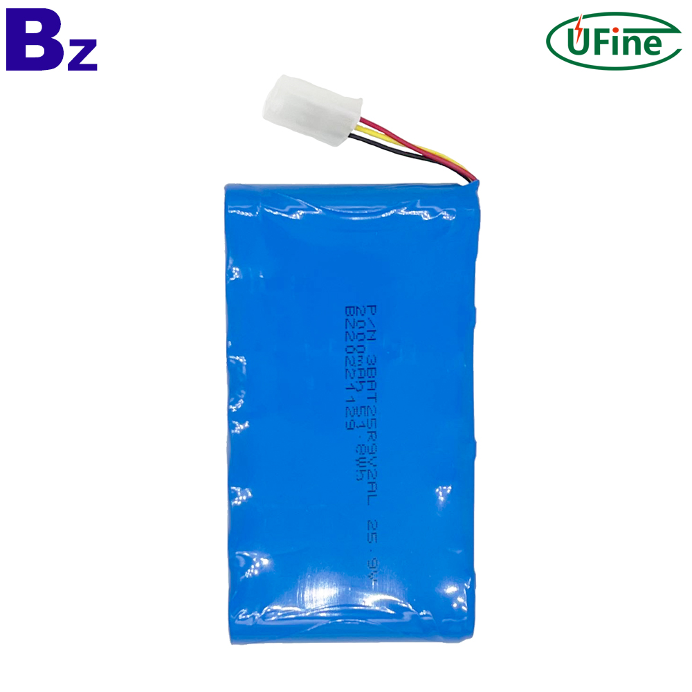 Professional Customized Rechargeable Battery Pack