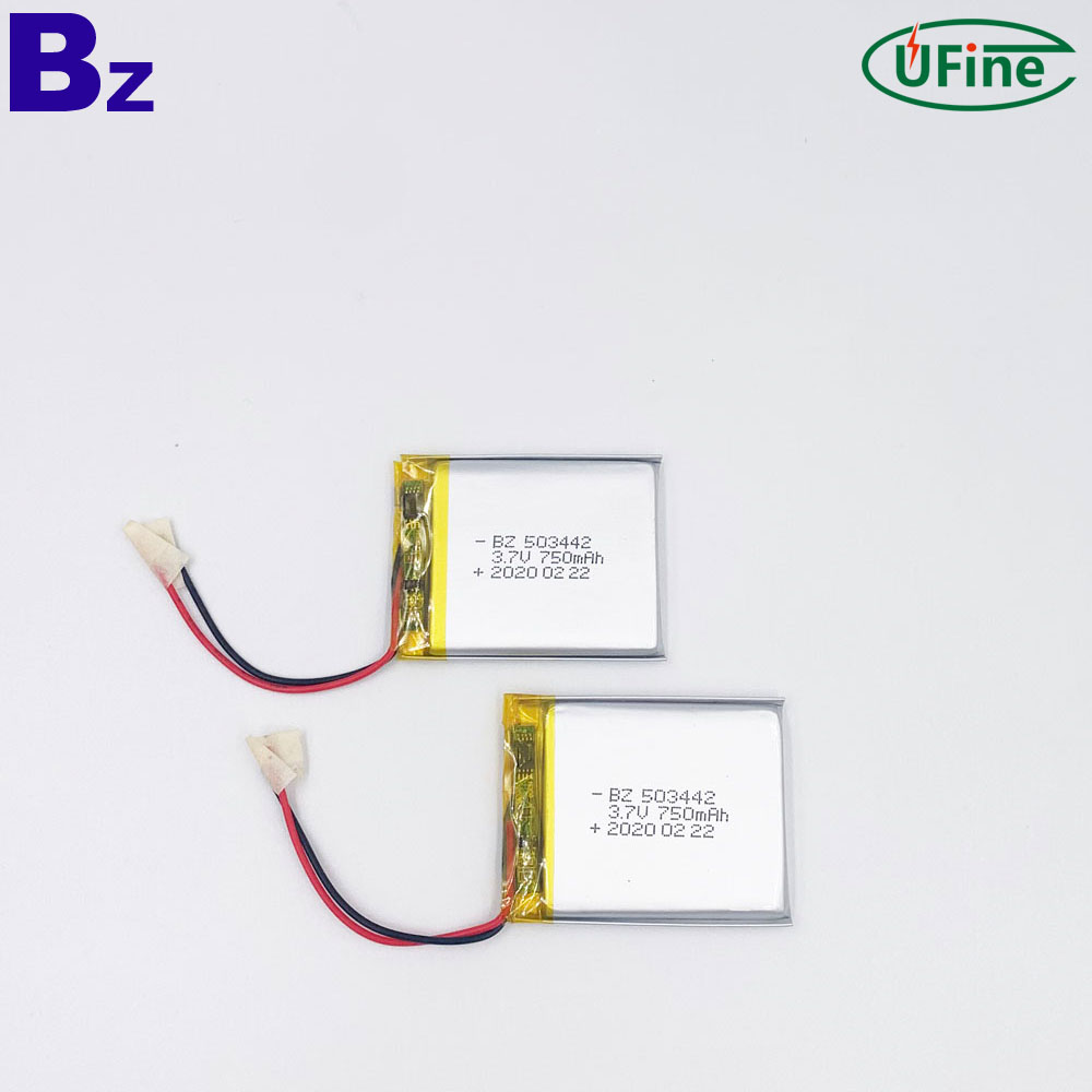 High Quality 750mAh Li-polymer Battery