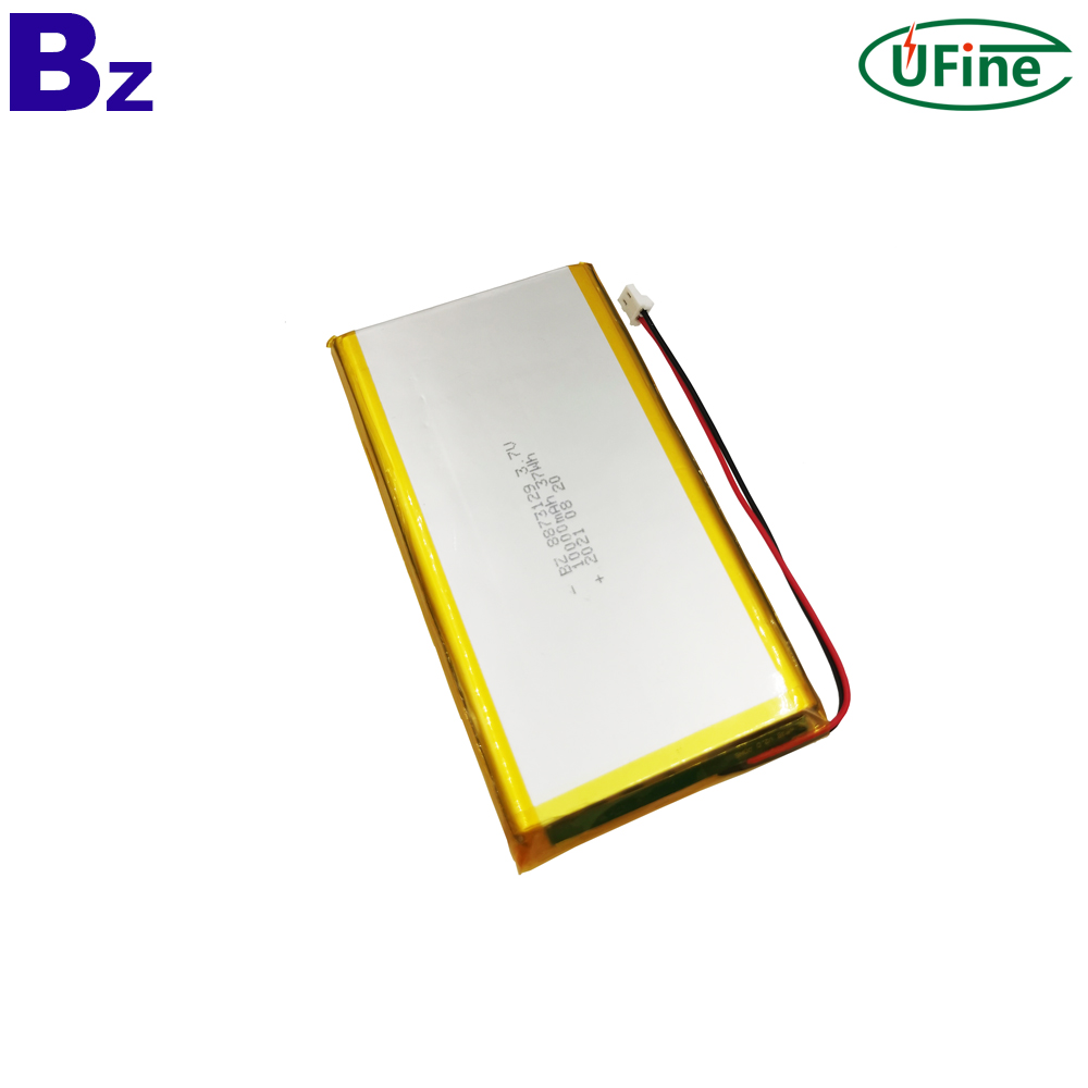 China Lithium-ion Cell Professional Custmoize 10000mAh Battery