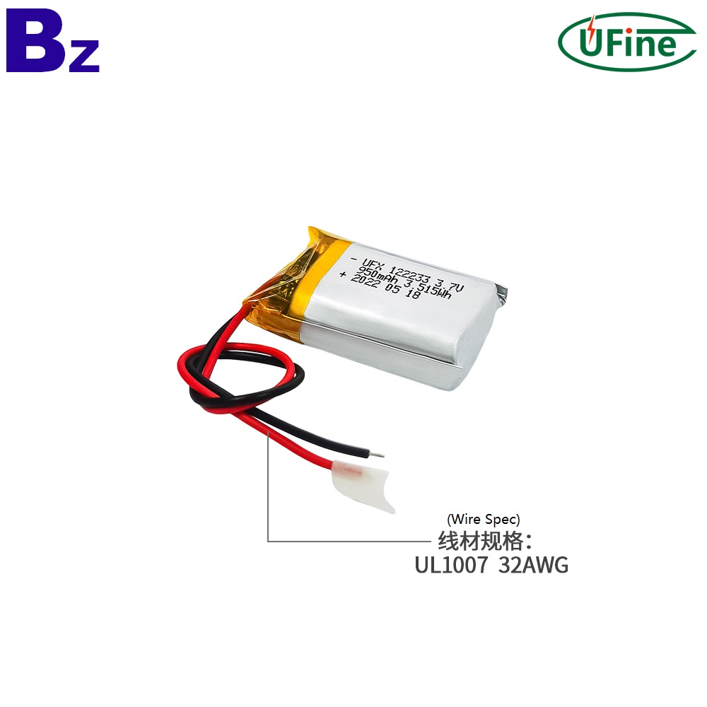 122233 LED Light Battery