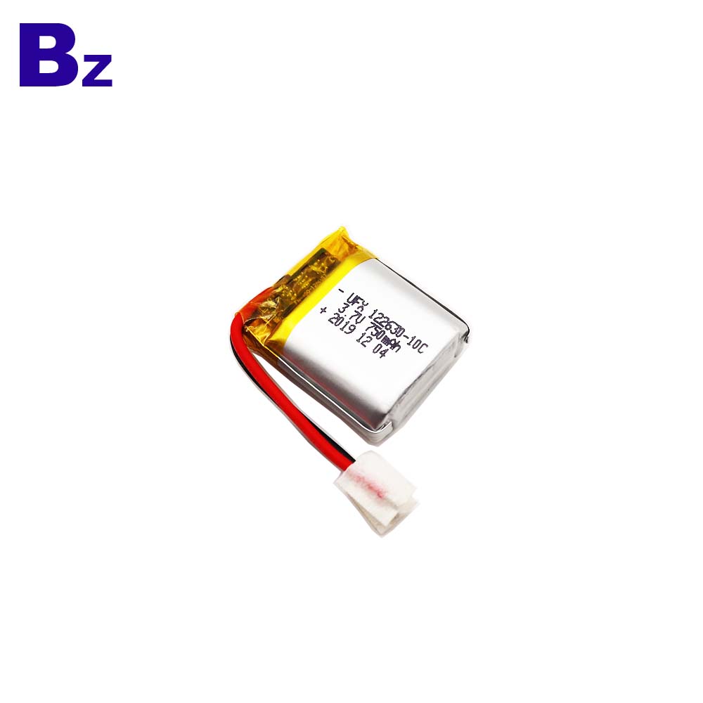 750mAh Battery For Electronic Alarm