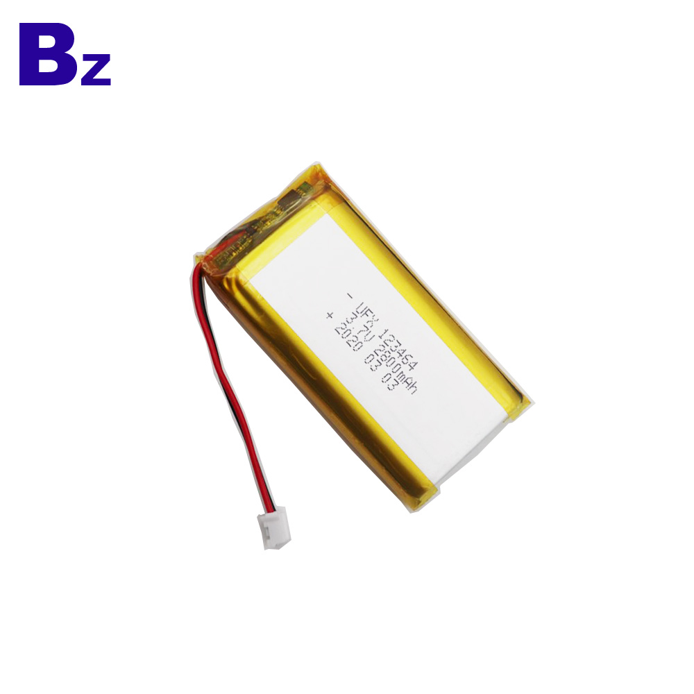 China Hot Sales 2800mAh Li-Polymer Battery 