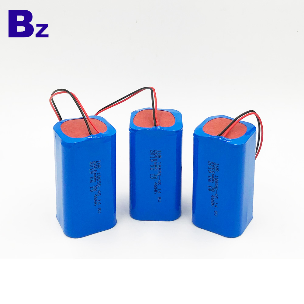 2600mAh Lithium-ion Battery Pack 