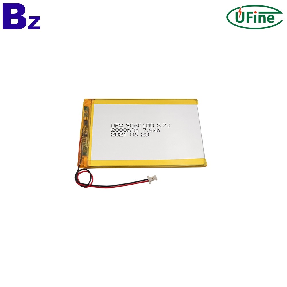 2000mAh Li-Polymer Battery For Tablet Computer