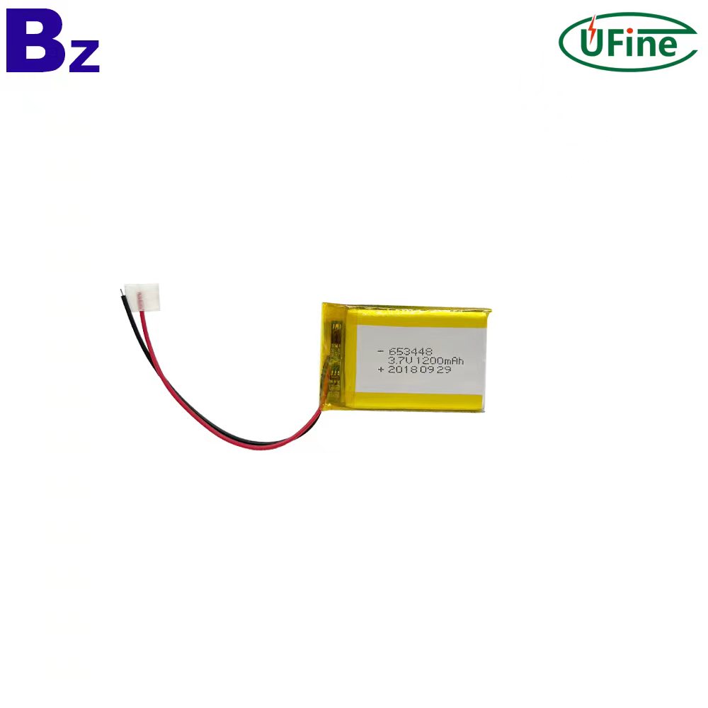 1200mAh Lithium Ion Polymer Battery