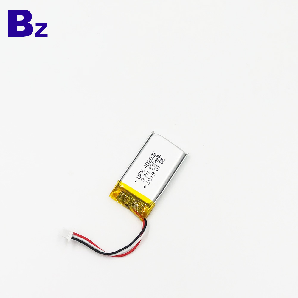 Battery For Electric Mosquito Swatter