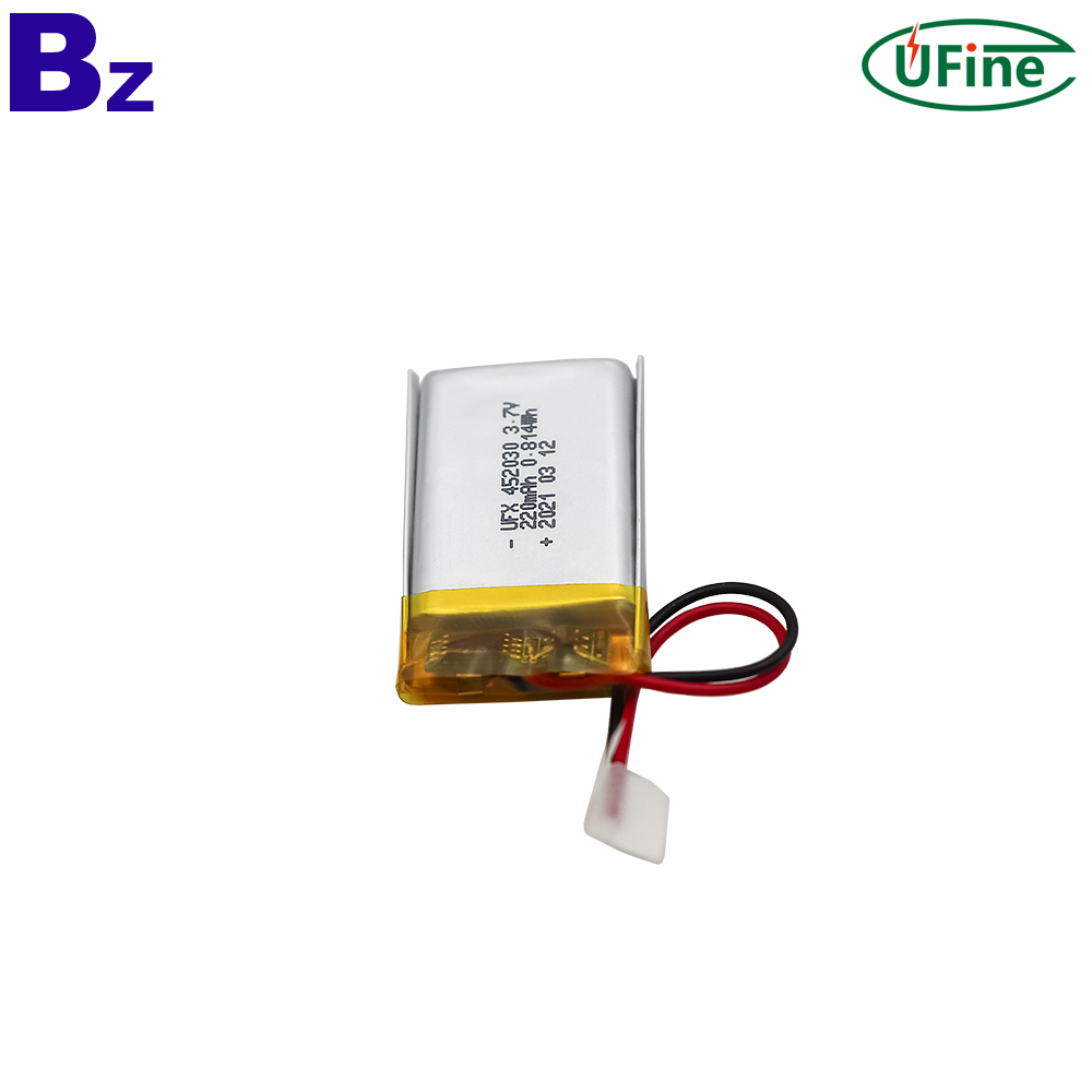 2021 New Design 220mAh Li-Polymer Battery