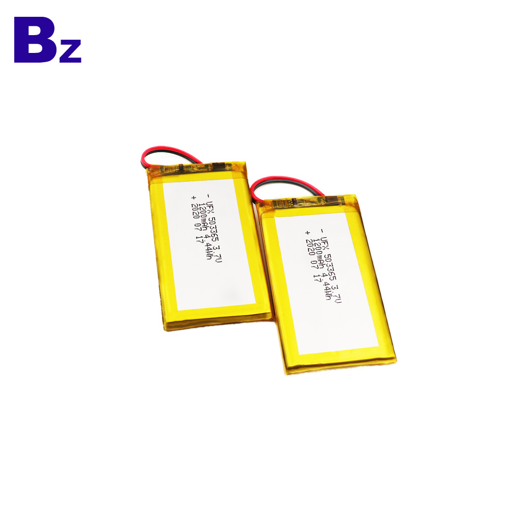 Top Quality 1200mAh Lithium Polymer Battery