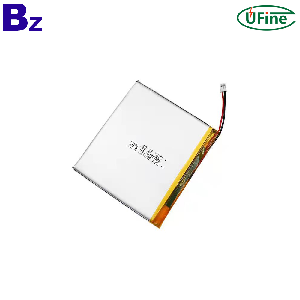 Li-po Cell Factory Customized 4800mAh High Capacity Battery