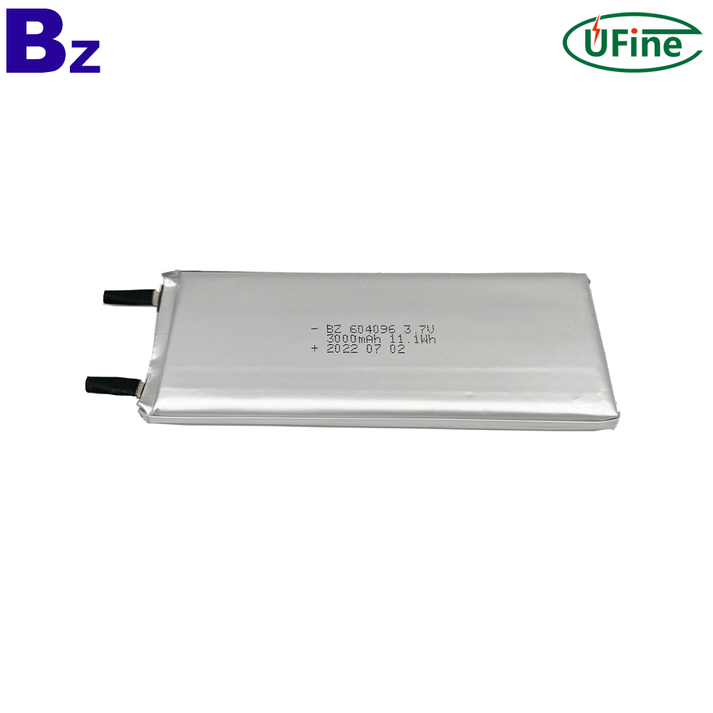 Polymer Battery Manufacturer Supply 604096 Cell