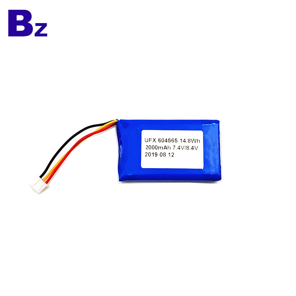 2000mAh Li-Polymer Battery For 3C Digital