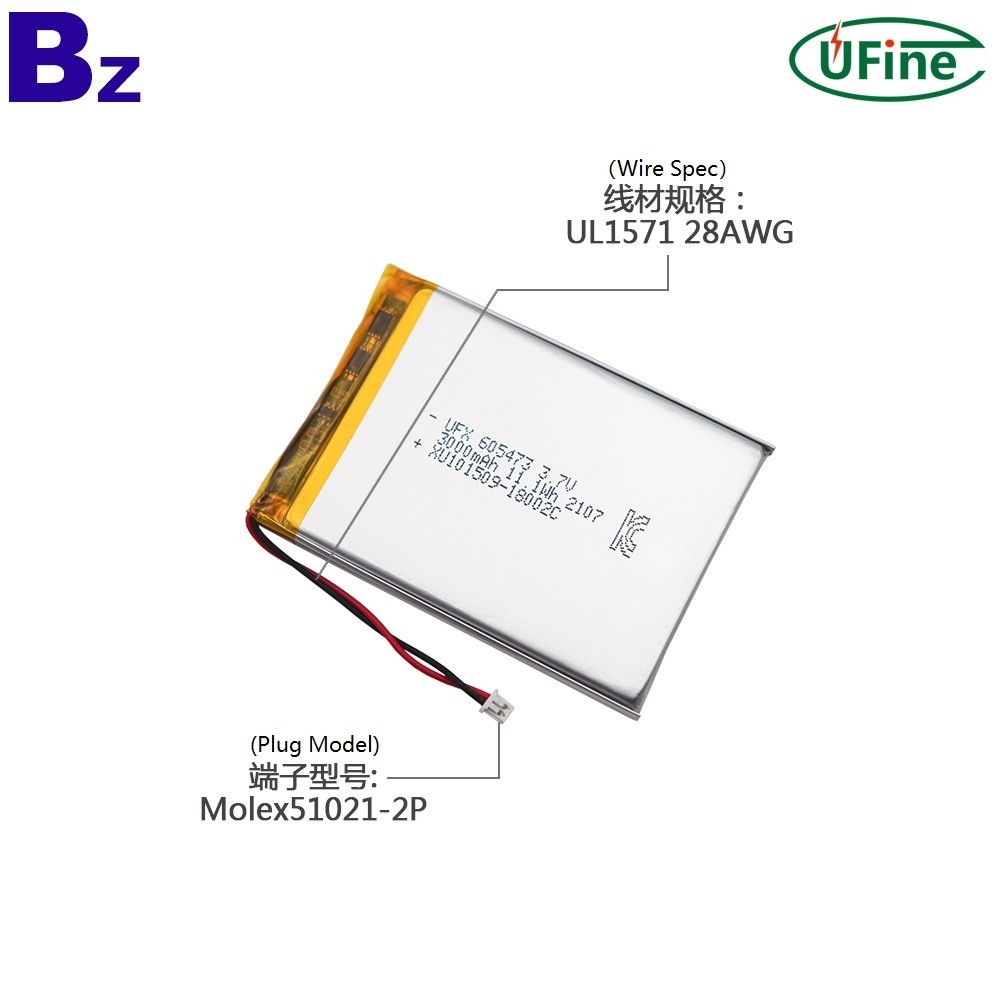 Lithium Batteries Manufacturer Supply Battery for Air Cleaner