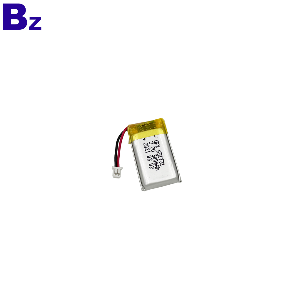 300mAh Temperature Detector Battery