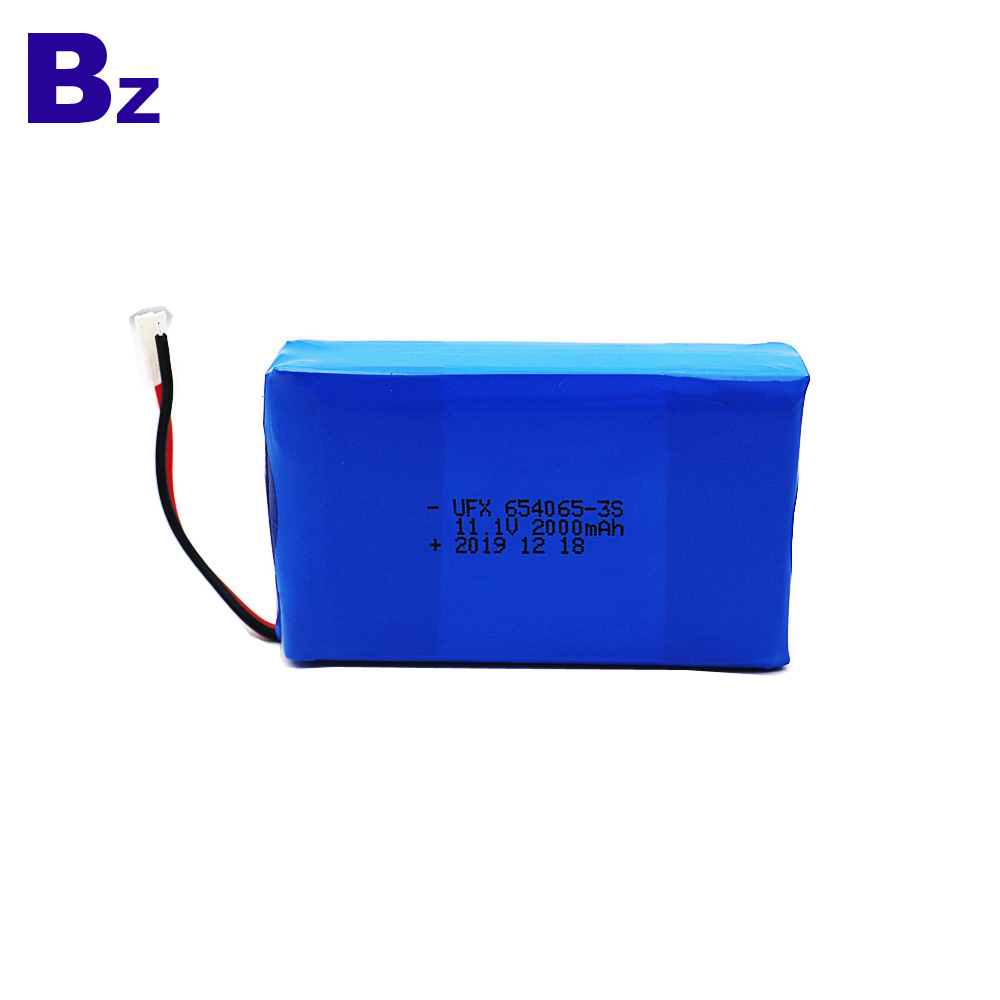 Professional Customization 2000mAh Lipo Battery