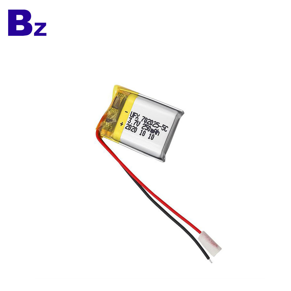 250mAh Entertainment Robot Lipo Battery