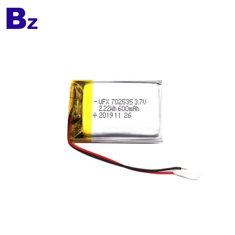 Top Quality 600mAh Li-Polymer Battery 