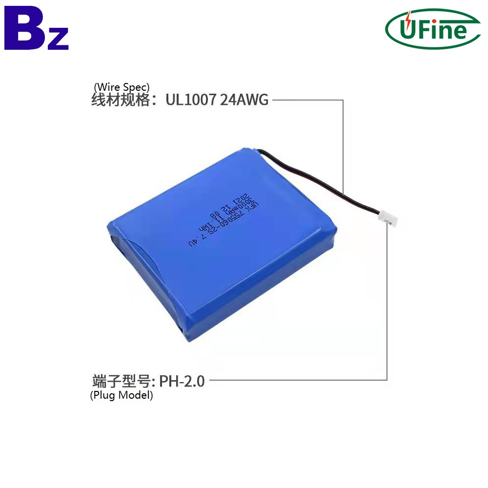 3000mAh  Smart Home Battery