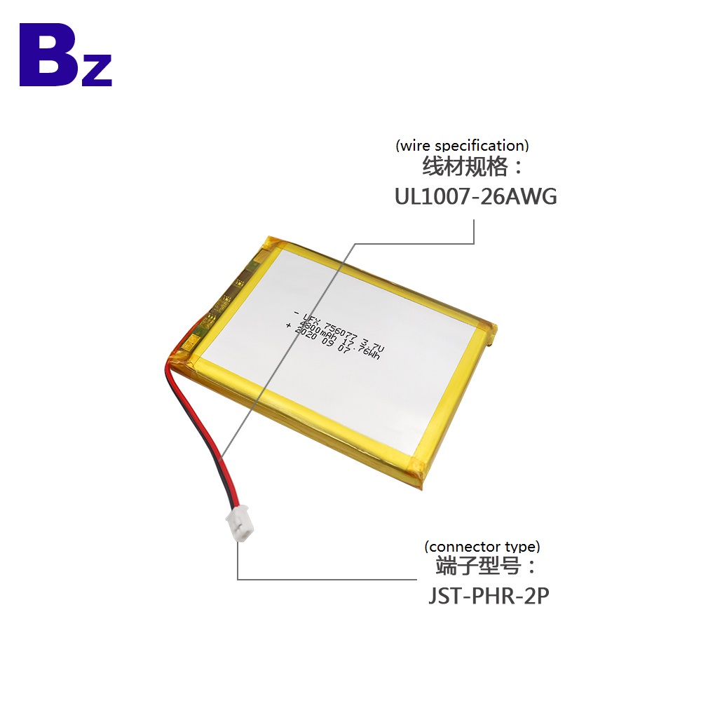 4800mAh Handheld Steam Iron Lipo Battery