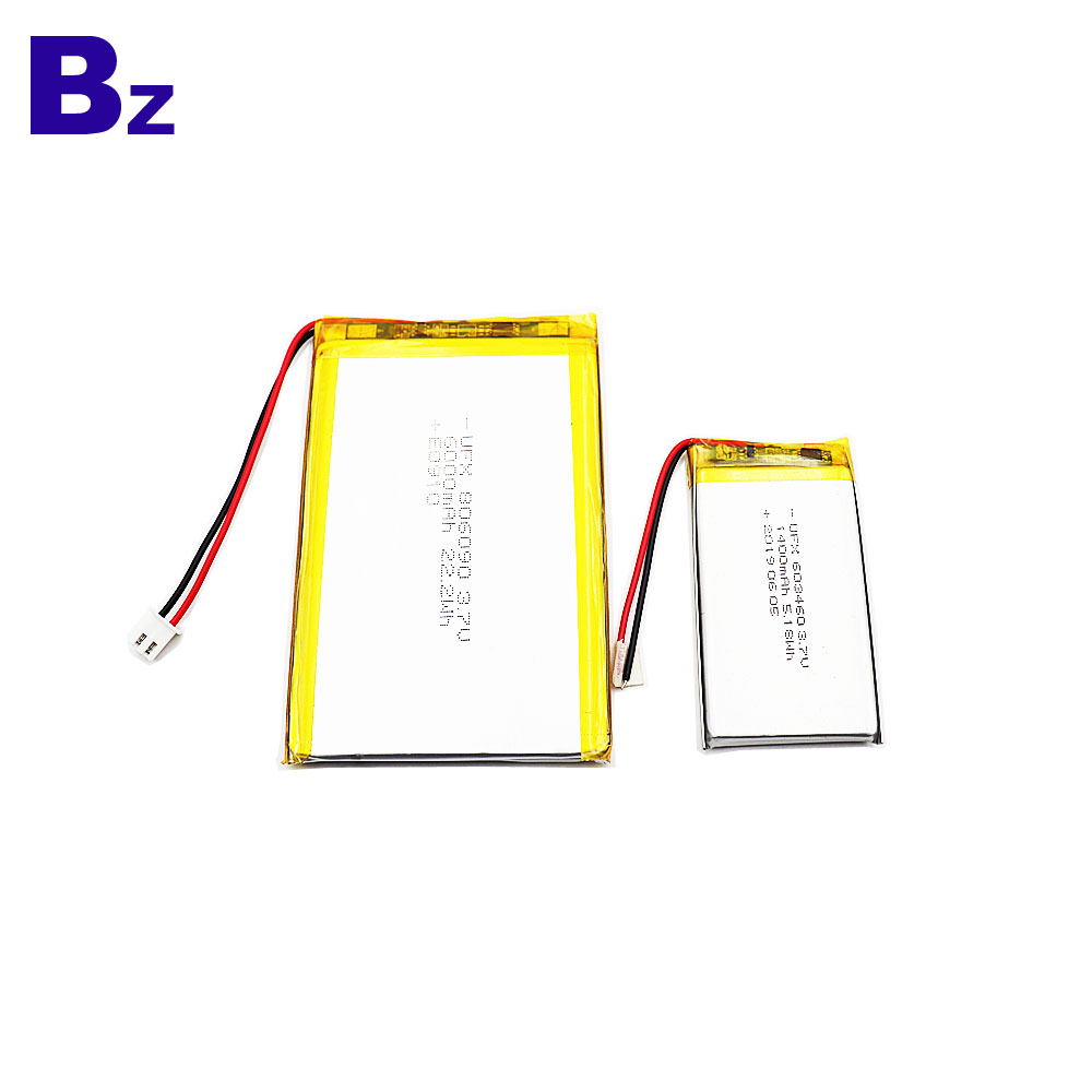 6000mAh High Capacity Li-Po Battery