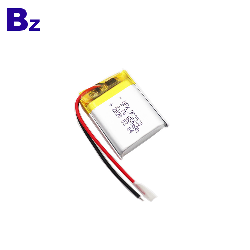 Factory direct sales Lipo Battery