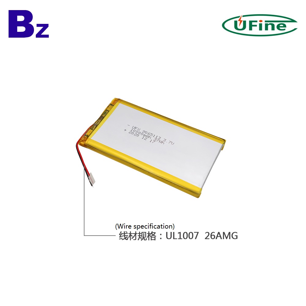 2021 China Supply 10000mAh Li-Polymer Battery