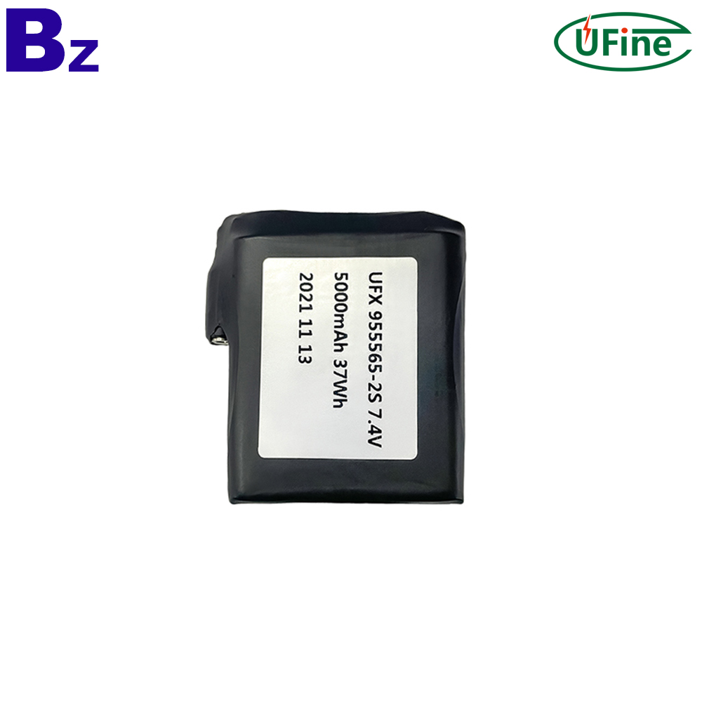 Chinese Lithium-ion Cell Manufacturer Customized 7.4V Battery Pack